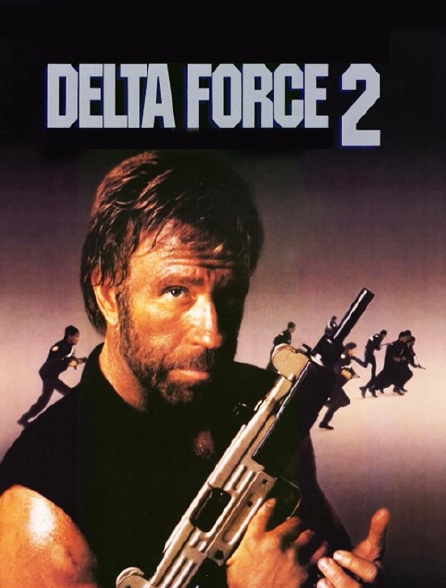 Delta Force 2