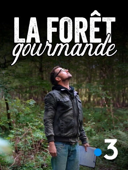 France 3 - La forêt gourmande