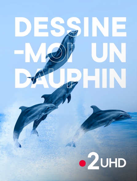 France 2 UHD - Dessine-moi un dauphin