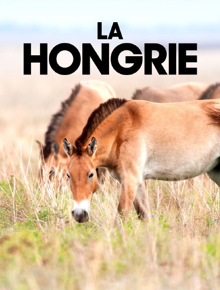 La Hongrie