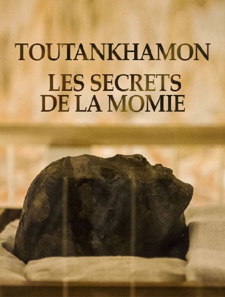 Qui a tué Toutânkhamon ?