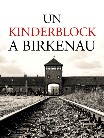 Un kinderblock à Birkenau