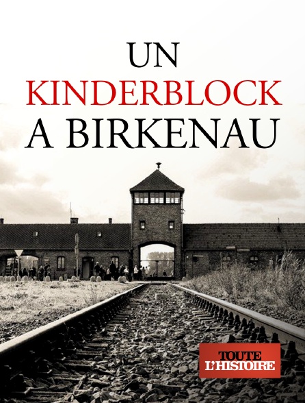 Toute l'Histoire - Un kinderblock à Birkenau