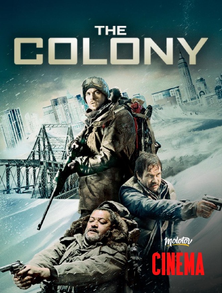 Molotov Channels Cinéma - The colony