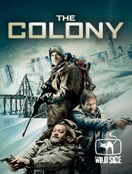 Wild Side TV - The colony en replay