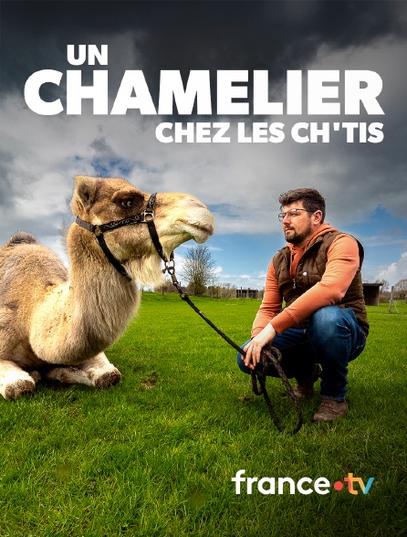 france.tv - Julien, un chamelier chez les Ch'tis