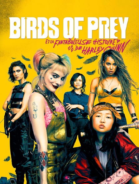 Birds of Prey et la fantabuleuse histoire de Harley Quinn