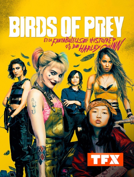 TFX - Birds of Prey et la fantabuleuse histoire de Harley Quinn