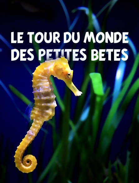 Le tour du monde des petites bêtes