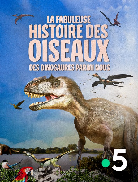 France 5 - La fabuleuse histoire des oiseaux, des dinosaures parmi nous