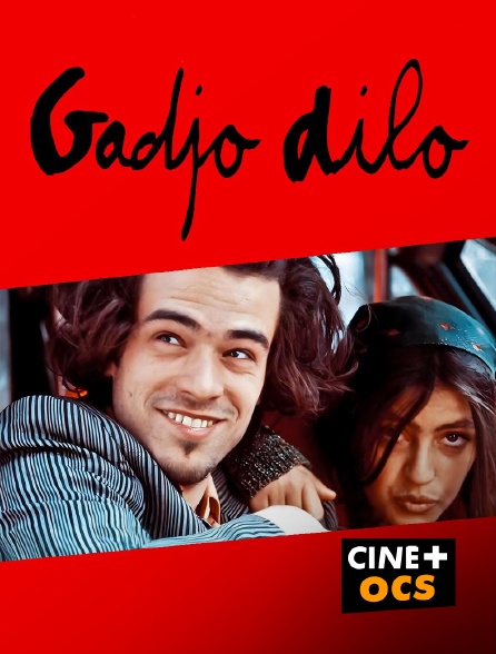 CINÉ Cinéma - Gadjo Dilo en replay