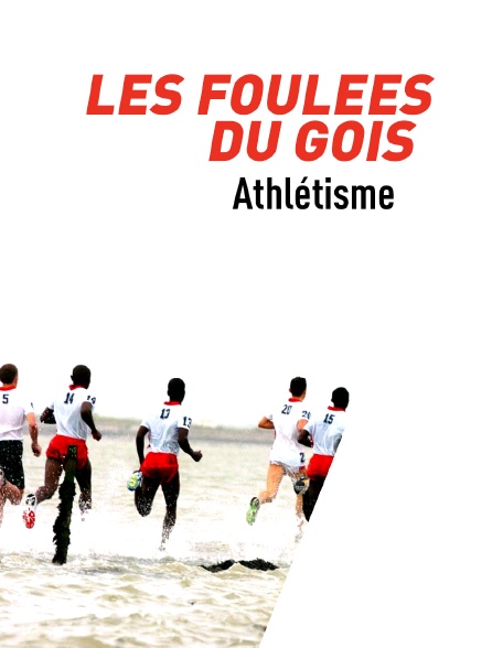 Les Foulées du Gois