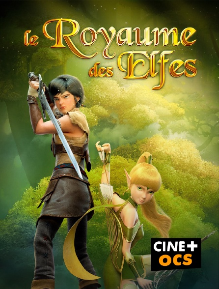 CINÉ Cinéma - Le royaume des elfes