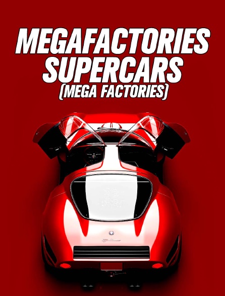 MEGAFACTORIES