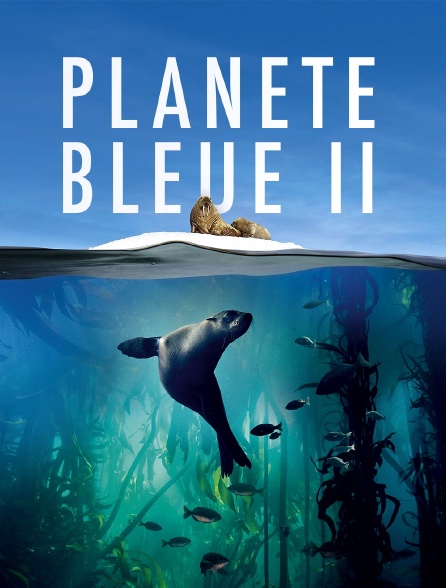 Planète bleue