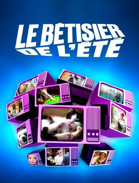 Le bêtisier de l'été