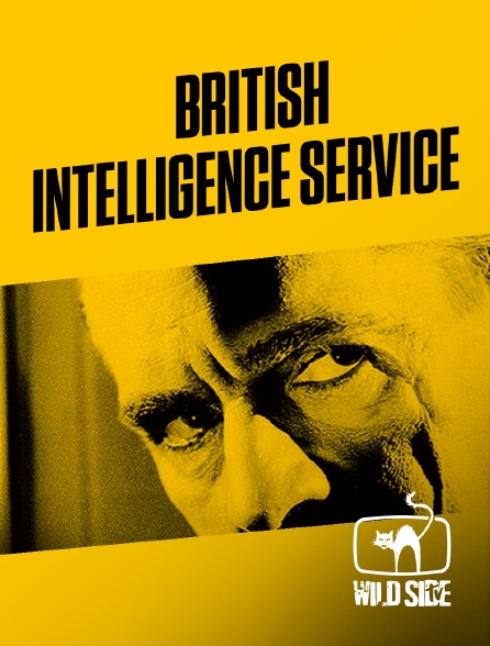 Wild Side TV - British intelligence service