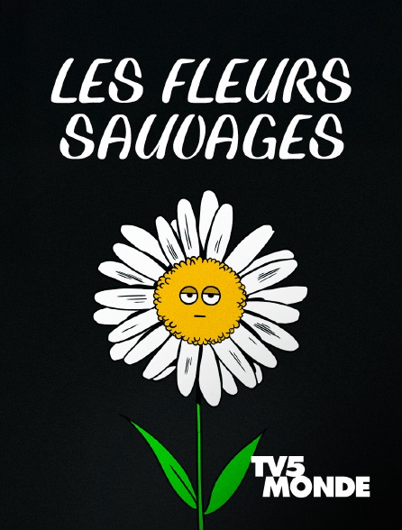 TV5MONDE - Les fleurs sauvages