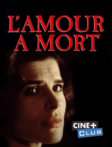 L Amour A Mort En Streaming Replay Sur Cine Club Molotov Tv