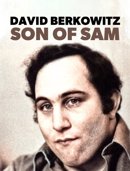 David Berkowitz : Son of Sam