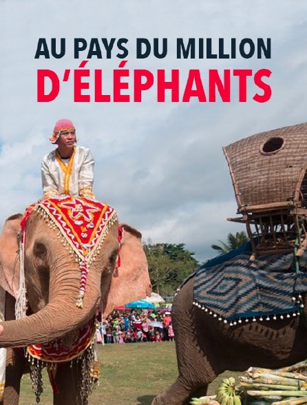 Au pays du million d'éléphants