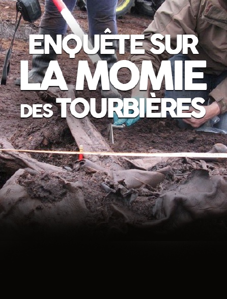 Enquête sur la momie des tourbières
