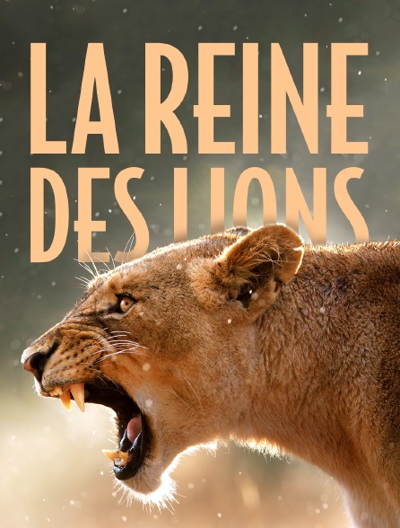 La reine des lions