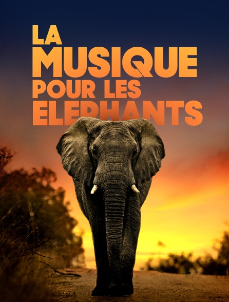 La musique pour les éléphants