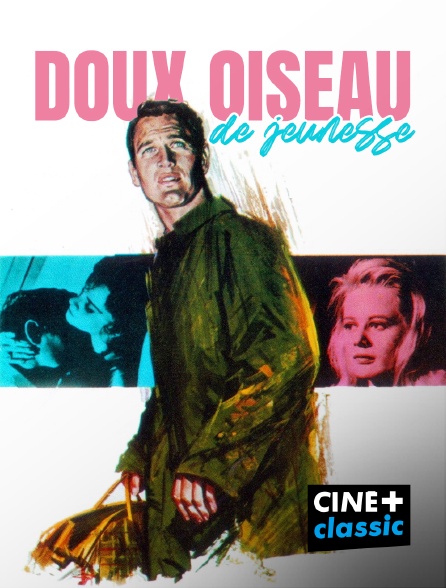 CINE+ Classic - Doux oiseau de jeunesse