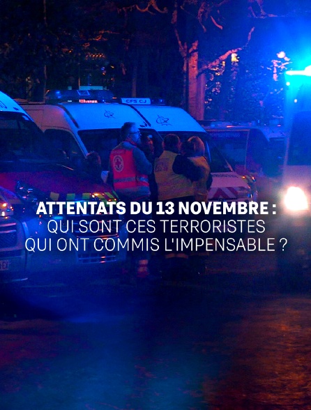 Attentats du 13 novembre : qui sont ces terroristes qui ont commis l'impensable ?