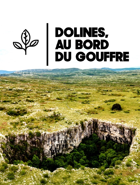 Dolines, au bord du gouffre