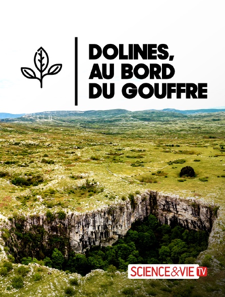 Science et Vie TV - Dolines, au bord du gouffre