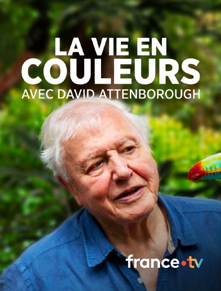 france.tv - La vie en couleurs avec David Attenborough en replay