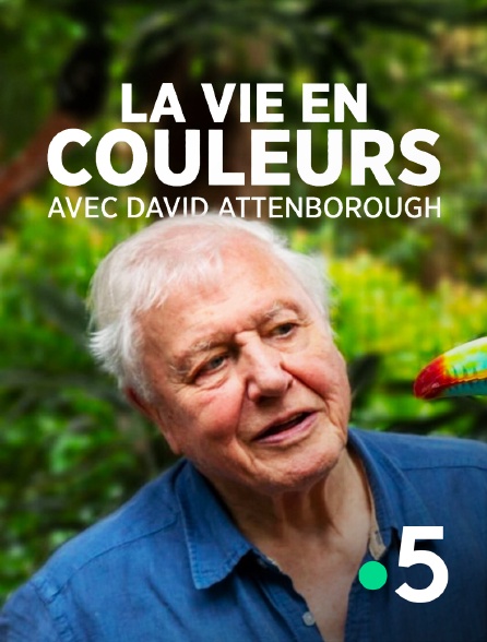 France 5 - La vie en couleurs avec David Attenborough