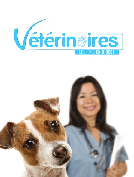 Vétérinaires, leur vie en direct