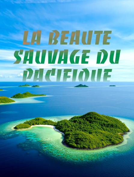 La beauté sauvage du Pacifique