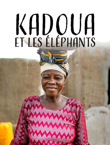 Kadoua et les éléphants