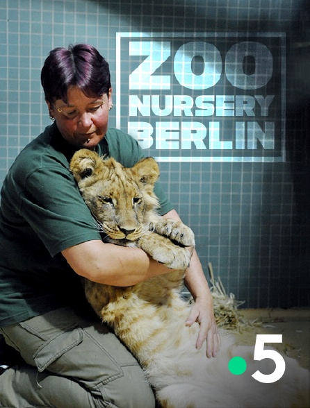 France 5 - Zoo nursery Berlin