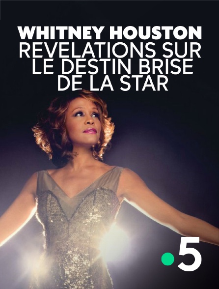 France 5 - Whitney Houston : révélations sur le destin brisé de la star