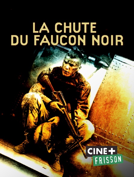 Ciné+ Frisson - La chute du Faucon noir