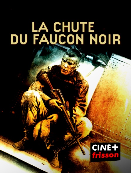 CINE+ Frisson - La chute du Faucon noir