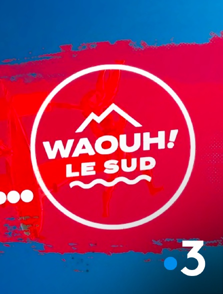France 3 - Waouh !