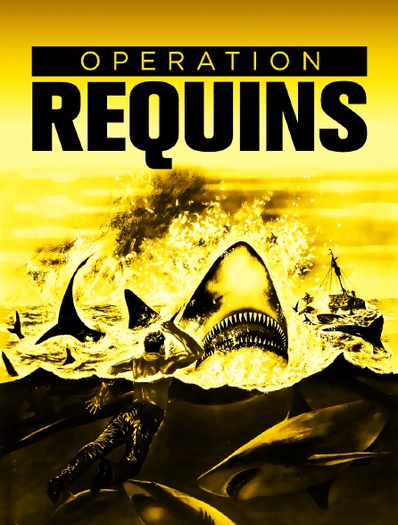 Opération requins