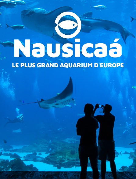 Nausicaa, le plus grand aquarium d’Europe