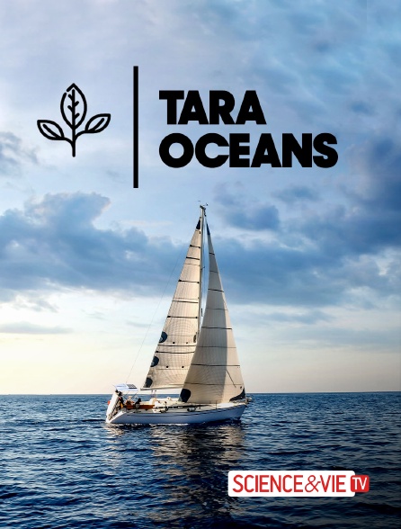 Science et Vie TV - Tara Océans