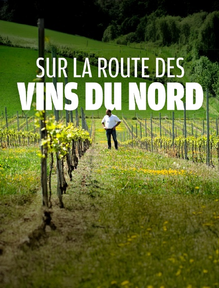 Sur la route des vins du Nord