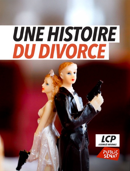 LCP Public Sénat - Une histoire du divorce