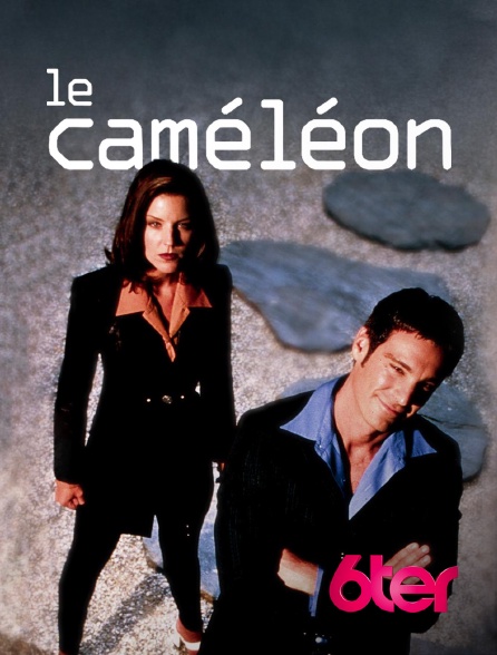 6ter - Le caméléon