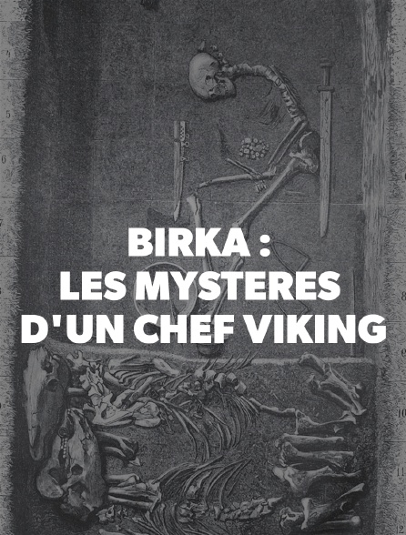 Birka : les mystères d'un chef viking