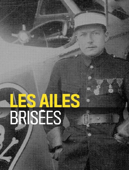 Les ailes brisées